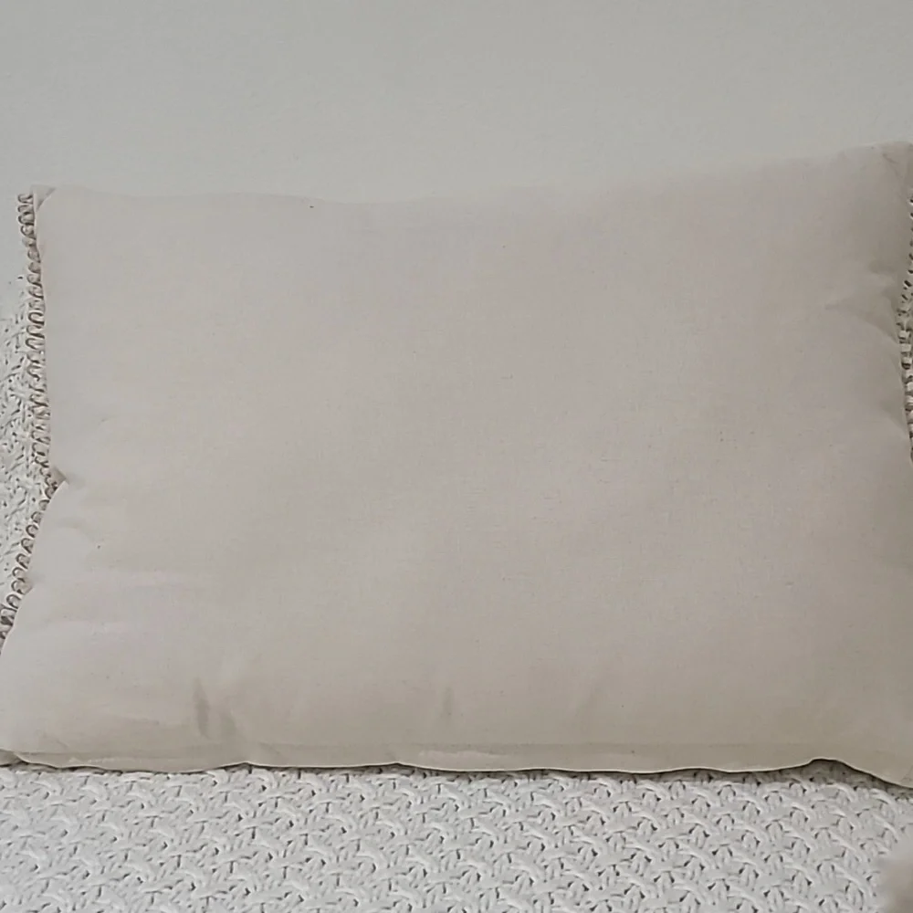 THE FARMHOSE RACHEL ASHWELL FALL DECORATIVE PILLOW.